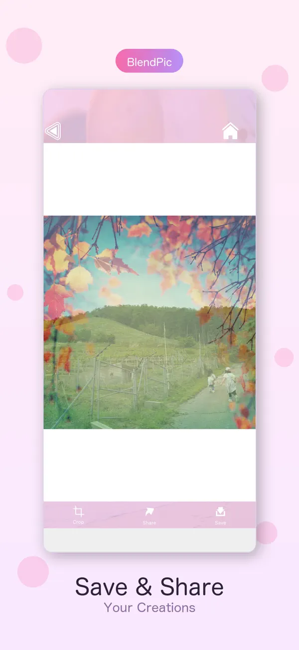 BlendPic 4