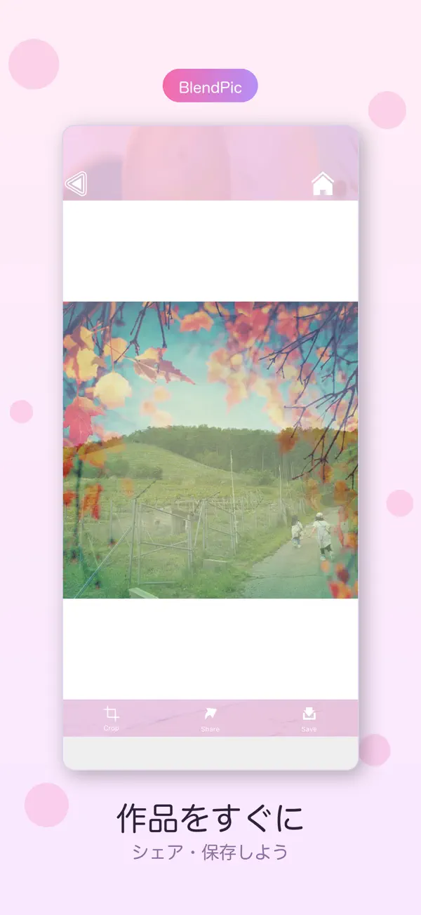 BlendPic 4