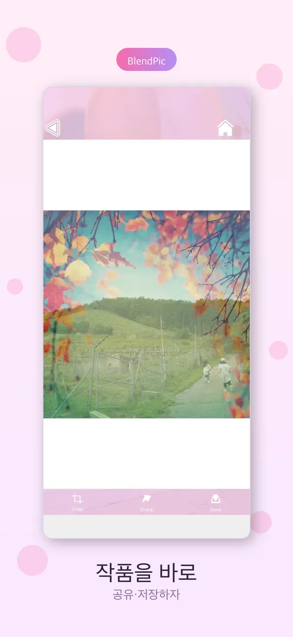 BlendPic 4