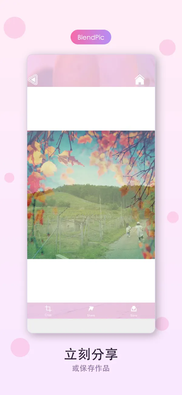 BlendPic 4